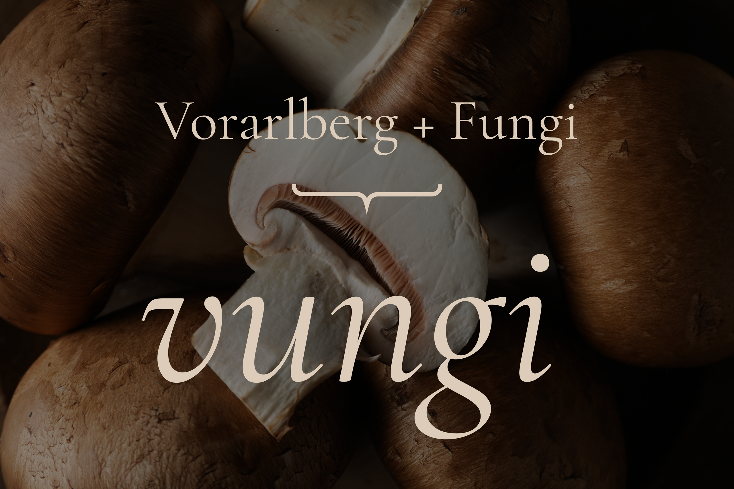 Naming vungi